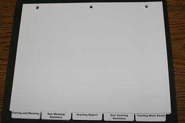 american angus association online store product list report dividers