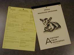 Book of 50 Registration Application Blanks