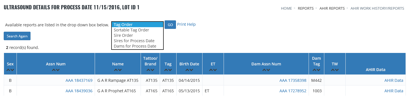 Work history reports